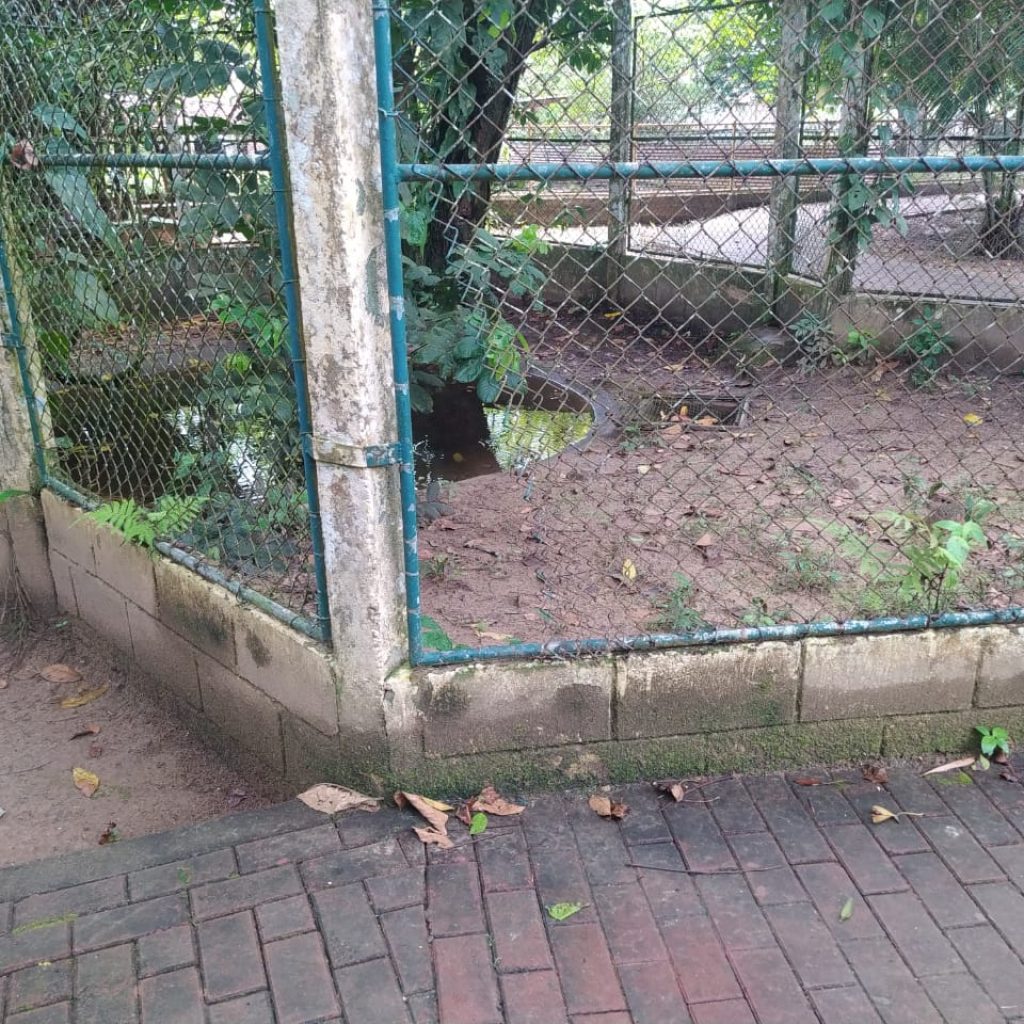kaaimannenkooi dierentuin
