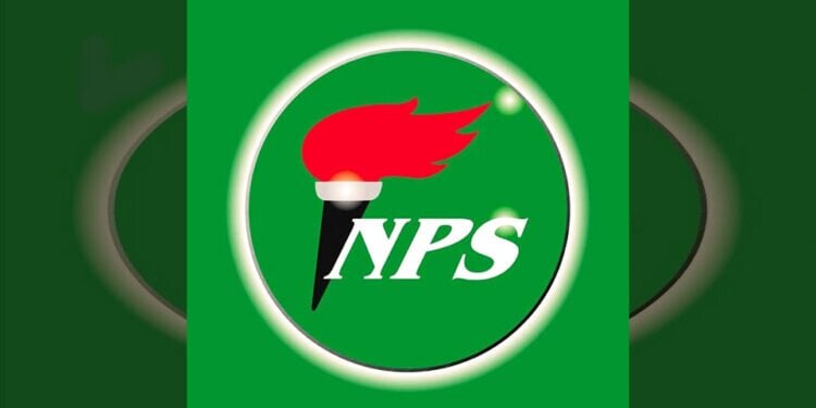 nps logo e1682999207673
