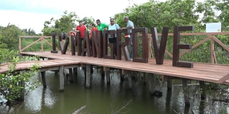 mangrove sign e1684221516508