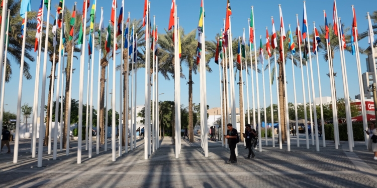 Vlaggen deelnemende landen COP28