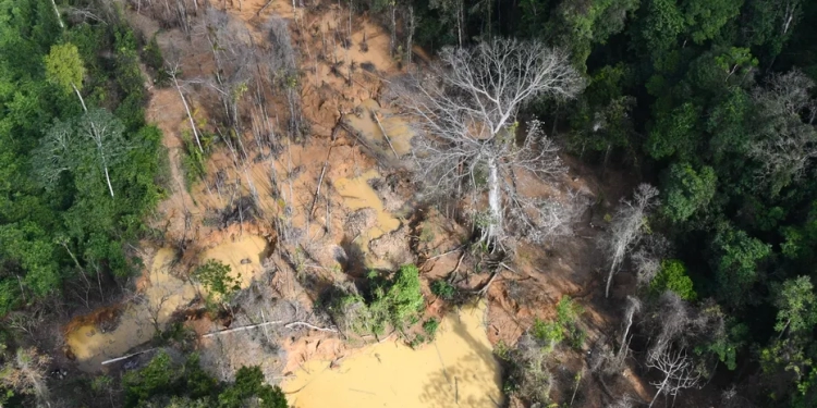 Een illegale goudwinningslocatie in Maripasoula, augustus 2023 • ©Amazonepark van Guyana (PAG)