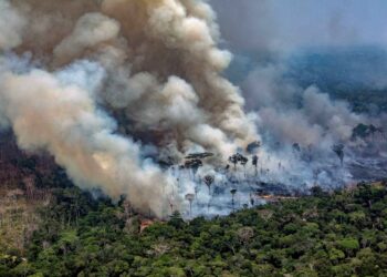 190826 amazon brazil fire cs 834a 2 Dit gebied is ongeveer zo groot is als Texas, zegt een nieuw rapport van het Amazon Network of Georeferenced Socio-Environmental Information, of Raisg. “De ontbossing in vergelijking met de afgelopen jaren in Suriname is afgenomen, maar we moeten op ons hoede blijven. We zijn gewaarschuwd”, zegt  directeur John Goedschalk van Conservation International Suriname.