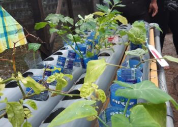 20200304 102928 scaled Producenten van agrarische producten kunnen zich niet voorstellen, dat het Ministerie van Landbouw, Veeteelt en Visserij (LVV) de bevoegdheid aan de Melkcentrale van Paramaribo (MCP) zal geven om groenten, vruchten en aardvruchten te verkopen, bewerken, verwerken, distribueren en  exporten.