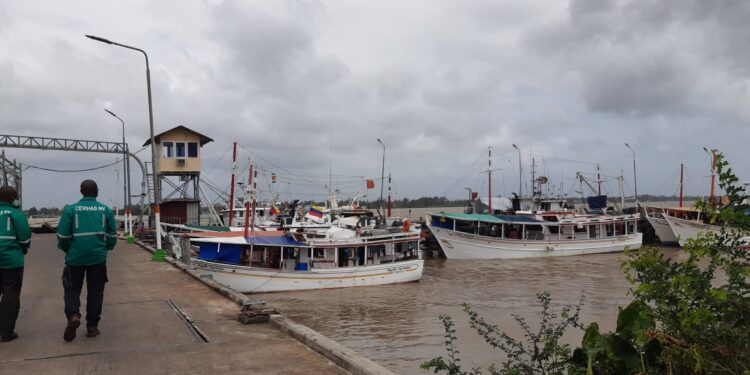 Personeel overheidsinstanties worden getraind in Visserij Inspectie 1 20210204 142818 scaled In aanloop naar de ratificatie van de Port State Measures Agreement (PSMA) in de strijd tegen Illegale, Ongemelde en Ongereguleerde (IOO) visserij, zal het directoraat Visserij van het ministerie van Landbouw, Veeteelt en Visserij, een training verzorgen in het inspecteren van vissersvaartuigen.