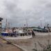 20210204 142818 scaled In aanloop naar de ratificatie van de Port State Measures Agreement (PSMA) in de strijd tegen Illegale, Ongemelde en Ongereguleerde (IOO) visserij, zal het directoraat Visserij van het ministerie van Landbouw, Veeteelt en Visserij, een training verzorgen in het inspecteren van vissersvaartuigen.