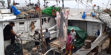 20210204 143658 Yarde geeft aan dat de regering van Suriname en de regering van Guyana tot een oplossing moet komen over het vergunningsdispuut, dat nu gaande is. “Ik vind het een goed idee dat 150 vergunningen zullen worden versterkt aan Guyanese vissers, want de vissers die hard moeten werken en hun leven op het spel zetten, betalen jaarlijks duizenden Amerikaanse Dollars aan de vergunninghouder, die niets doet.”