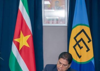 Situatie Haïti bespreekbaar gemaakt bij Economische en Sociale Raad VN