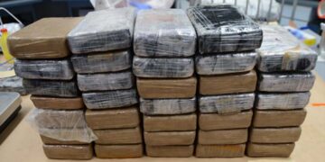 324105.w2000.r2 1.a1a61d8.q90 Dhaval P is maandag door kantonrechter Maureen Dayala in vrijheid gesteld. De man werd ervan verdacht 7.545 gram cocaïne gesmokkeld te hebben op 13 januari. Het Openbaar Ministerie verzocht de rechter hem vrij te spreken van hetgeen hem ten laste was gelegd.