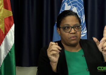 CDCC 01 Het herstructureren van de economieën van de landen binnen de Caricom staat bij de 29ste Caribbean Development and Cooperation Council (CDCC) centraal.