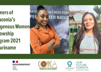 CI Het zogeheten Indigenous Women Fellowship programma (programma voor inheemse vrouwen in het Amazonegebied), is onderdeel van het project ‘Our Future Forests - Amazonia Verde’. Dit programma is tot stand gekomen met steun van de Franse regering en de coördinator van inheemse organisaties van het Amazonebekken (Coica). Het wordt geleid door Conservation International (CI). Met dit project worden verdere stappen gezet op het gebied van gendergelijkheid als strategisch perspectief binnen natuurbehoud in het Amazonegebied.
