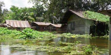DSC00210 Er zal mogelijk nog meer neerslag vallen in de komende weken. De hoeveelheid die nu vooral in het zuiden van Suriname valt, is afwijkend van het normale.