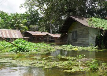 DSC00210 scaled Er zal mogelijk nog meer neerslag vallen in de komende weken. De hoeveelheid die nu vooral in het zuiden van Suriname valt, is afwijkend van het normale.