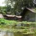 Suriname kan gevolgen opmerken van orkaanseizoen 9 DSC00210 scaled Er zal mogelijk nog meer neerslag vallen in de komende weken. De hoeveelheid die nu vooral in het zuiden van Suriname valt, is afwijkend van het normale.