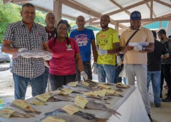 DSC00247 Het directoraat Visserij van het ministerie van Landbouw, Veeteelt en Visserij (LVV) telt landelijk meer dan 20 opnemers die instaan voor het verzamelen van gegevens op de aanlandingssteigers. Op 19, 20 en 21 oktober werden al deze opnemers samengebracht voor een 3-daagse training.