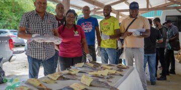 DSC00247 Het directoraat Visserij van het ministerie van Landbouw, Veeteelt en Visserij (LVV) telt landelijk meer dan 20 opnemers die instaan voor het verzamelen van gegevens op de aanlandingssteigers. Op 19, 20 en 21 oktober werden al deze opnemers samengebracht voor een 3-daagse training.