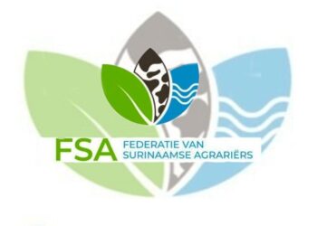 FSA 1 “De mensen in Brokopondo zijn zwaar getroffen door wateroverlast en wij realiseren onvoldoende hoe erg de situatie is in Brokopondo” zegt voorzitter Tania Lieuw-A-Soe van de Federatie van Surinaamse Agrariërs (FSA). FSA heeft het initiatief genomen om een inzamelactie te organiseren ter ondersteuning van de getroffen mensen in Brokopondo. Voor veel van deze families is de agrarische sector een zeer belangrijke bron van inkomsten en voedselvoorziening. Ten einde raad en machteloos, leven de mensen in een uitzichtloze situatie. Vanuit de federatie wordt er een dringend beroep gedaan op de Surinaamse samenleving om de mensen in Brokopondo in nood enige hulp te bieden. Hetzij in natura of een donatie. “Onze organisatie heeft zijn oorsprong in Brokopondo en wij zullen de agrariërs in Brokopondo ondersteunen.” De voorzitter geeft verder aan dat de FSA bezig is om een structuur op te zetten, zodat deze inzamelactie zo structureel en transparant mogelijk verloopt. “We willen geen geld op ons rekeningen.” Ook is de organisatie in gesprek met Nationaal Coördinatie Centrum voor Rampenbeheersing (NCCR) en het Rode Kruis, zodat alles in goede banen verloopt. “We willen deze mensen duurzaam ondersteunen en daarmee bedoel ik dat we deze mensen moeten helpen met onder andere om hun kostgronden op te zetten, zodat zij weer zelfvoorzienend kunnen worden.” Er is gelegenheid om goederen/levensmiddelen te doneren op het kantoor van FSA aan de Letitia Vriesdelaan, op elke donderdag van 9.00 uur tot 14.30 uur.