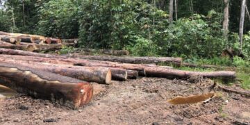 IMG 20210213 WA0017 1 De Algemene Surinaamse Hout Unie (ASHU) zegt in een persbericht dat zij overweegt gerechtelijke stappen te ondernemen tegen het ministerie van Grondbeleid- en Bosbeheer (GBB).