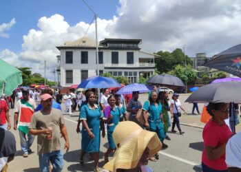 Visie PVP op volksprotest