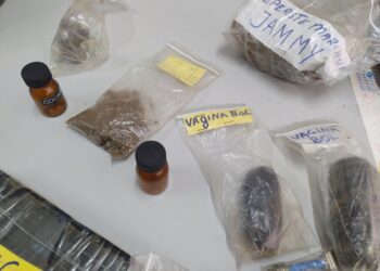 IMG 20221025 132151 1 De politie is bezig met een onderzoek waarbij een Surinaamse wegens drugssmokkel is aangehouden in Sri Lanka.