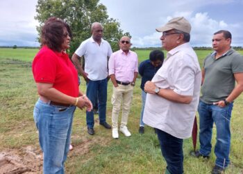 LVV 02 Minister Parmanand Sewdien van Landbouw, Veeteelt en Visserij (LVV) heeft zich op de eerste Kerstdag persoonlijk georiënteerd in verschillende gebieden in het district Nickerie die reeds weken worden geteisterd door ratten.