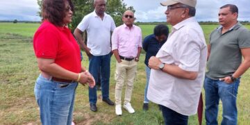 LVV 02 Minister Parmanand Sewdien van Landbouw, Veeteelt en Visserij (LVV) heeft zich op de eerste Kerstdag persoonlijk georiënteerd in verschillende gebieden in het district Nickerie die reeds weken worden geteisterd door ratten.