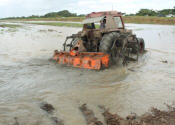 LVV demonstratie landbouwfrees 4 2 Rijstboeren worden gedupeerd door de overheid en  padieopkopers. De opkopers bepalen de padieprijs per baal, terwijl de overheid niets eraan doet, omdat die goedkope rijst aan de consument wil aanbieden. Dit zegt voorzitter Harinandan Oemraw van de Surinaamse Padie Boeren Associatie (SPBA).