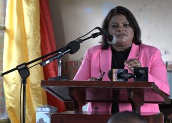 Mathoera 2 De minister Defensie, Krishnakoemarie Mathoera, zegt dat de defensieorganisatie na twee jaar goed op weg is. Ze sprak donderdag tijdens een persconferentie op haar departement.