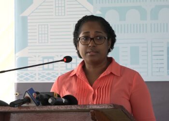 Natasha Deul Het nieuwe gebouw van De Nationale Assemblee (DNA), dat aan de Henck Aaronstraat wordt gebouwd, zal in maart worden opgeleverd. Dit zegt Natascha Deul,  coördinator van het Paramaribo Urban Rehabilitation Program (PURP). Wie langs het gebouw gaat, merkt dat de bouw in afrondende fase is. Het project is bedoeld is om de binnenstad van Paramaribo nieuw leven in te blazen is, en  het DNA-gebouw draagt hieraan bij. Het gebouw werd door een brand verwoest in 1996. Sinds enkele jaren bestond het idee om het gebouw weer op te zetten.