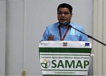 Samap1 De Suriname Agriculture Market Access Project (SAMAP) heeft op donderdag 31 maart een tweede workshop gehouden in de vergaderzaal van het Ministerie van Landbouw, Veeteelt en Visserij (LVV). Bij deze workshop waren diverse landbouwers en belanghebbenden aanwezig om te discussiëren en te brainstormen over de uitdagingen van de groenten- en fruitexport. De uiteindelijke bedoeling van de SAMAP is om de landbouwcultuur van Suriname op zelfvoorzienende wijze te laten ontwikkelen. Onder de aanwezigen waren onder anderen studenten van het Polytechnic College Suriname, groot- en kleinschalige landbouwers, fruit- en groentenverwerkers, exporteurs en agro business houders.