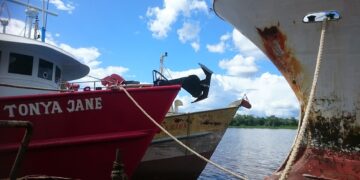 VISSER 01 2 Het is verwachtbaar dat de drie Guyanese kapiteins, die eerder deze week werden aangehouden in Nickerie, dinsdag naar huis terugkeren. Dat zegt minister van Landbouw  van Guyana, Zulfikar Mustapha.