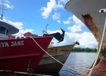 VISSER 01 4 Er hebben zich al ruim 30 Guyanese vissersboten in Suriname aangemeld om hun vaartuigen te laten registeren via Surinaamse vergunninghouders. De verwachting is dat dit aantal zal oplopen, meldt News Room Guyana.