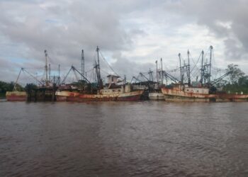 VISSER 02 2 scaled Dit wordt gesteld door de Federatie van Surinaamse Agrariërs (FSA), in een open brief, die gericht is aan onder anderen Ramdin en minister Prahlad Sewdien van Landbouw, Veeteelt en Visserij. Volgens de federatie neemt de druk op leden van de brancheorganisatie in de afgelopen maanden vormen aan die niet langer geheim kunnen blijven.