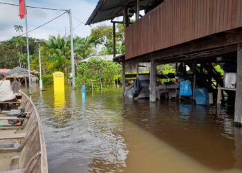 Wayana 1 De Wayana dorpen Kumakapan en Lensi Dede in het Lawagebied liggen al bijkans twee maanden onder water en er dreigt nu een schaarste aan voedsel te ontstaan in dit gebied. “De Wayana dorpen liggen helemaal onder water en de kostgronden ook, waardoor er een voedselschaarste dreigt”, zegt André Verhoogt van Stichting Molukut, die zich bezighoudt met het verbeteren van de levensstandaarden van de mensen in de Wayana dorpen.