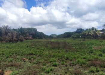 WhatsApp Image 2022 11 04 at 8.13.00 AM Het vliegveld van Langatabiki is momenteel niet begaanbaar en is ook afgesloten, dat bevestigt de districtscommissaris Osei Jabini tegenover Key News.