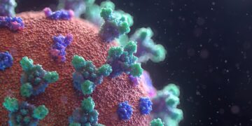 covidrecovery 2 Het ministerie van Volksgezondheid heeft de gemeenschap gerustgesteld dat er geen reden tot paniek is over het Humaan Metapneumovirus (hMPV). Hoewel dit virus wereldwijd luchtweginfecties kan veroorzaken, is er op dit moment geen sprake van een uitbraak in Suriname.