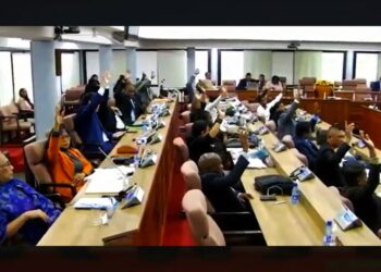 dna stemming1 web De wet Geweld en Seksuele Intimidatie en de wet Gelijke Behandeling is donderdag met 41 algemene stemmen aangenomen in De Nationale Assemblee (DNA).
