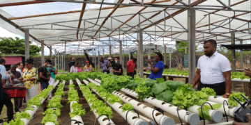 Shell Suriname doneert hydroponics moestuin aan Huize Ashiana