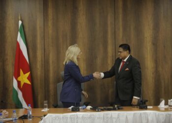 PVP richt brief naar viceminister president Sigrid Kaag