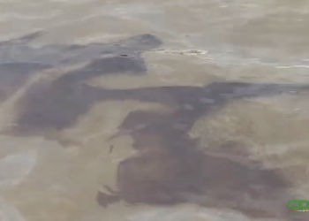 oliespil 2 De oliemors (oil spill) in de Surinamerivier is niet afkomstig van Staatsolie Maatschappij Suriname N.V. of zijn dochtermaatschappijen. Dat geeft Staatsolie aan in een persbericht.