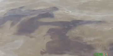 oliespil 2 De oliemors (oil spill) in de Surinamerivier is niet afkomstig van Staatsolie Maatschappij Suriname N.V. of zijn dochtermaatschappijen. Dat geeft Staatsolie aan in een persbericht.