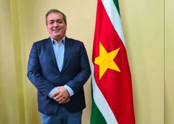 viren ajodhia In het  gesprek tussen Gentle en Brunswijk, die heel veel kritiek heeft gekregen voor de vele functies binnen de verschillende RvC’s, is te horen dat laatstgenoemde  kritiek levert  op  personen, die mogelijk gelieerd zijn aan de VHP. Een van de personen die genoemd is, is Viren Ajodhia, die naar zeggen van Brunswijk ook tal van functies bekleedt.