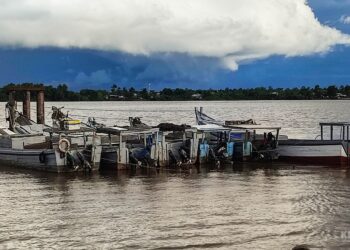 visser 175402 3 Zulfikar erkende ook dat Guyanese vissers door de jaren heen een belangrijke rol hebben gespeeld in de ontwikkeling van de Surinaamse industrie door hun voortdurende deelname. Hij zei dat het mede ertoe heeft bijgedragen dat de regering heeft ingegrepen om de druk op Guyanezen te verlichten. "Dit was dus gewoon een overeenkomst tussen beide partijen", verklaarde Zulfikar.