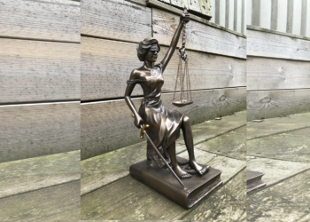 Negen maanden gevangenisstraf voor activist Zweers