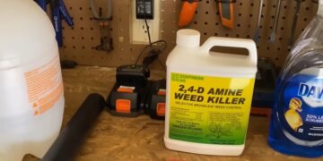 24d Een recent persbericht van de Pan-Amerikaanse Gezondheidsorganisatie (PAHO) belicht een studie die een aanzienlijke invloed kan hebben op zelfmoord-preventiestrategieën in Noord- en Zuid-Amerika, inclusief het Caribisch gebied.