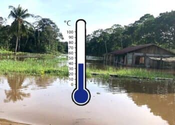40 graden temp Suriname mag in de komende maanden temperaturen rond de 40 graden Celsius verwachten. Dit zegt meteoroloog Rajkumar Nanda. Het hoofd van de Meteorologische Dienst Suriname zegt dat de droge tijd al begonnen is, maar het zal steeds warmer worden.