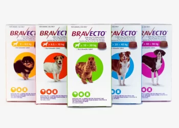 Bravecto Chews Dogs New 8 Het Ministerie van Landbouw, Veeteelt en Visserij (LVV) waarschuwt de samenleving voor het gebruik van diergeneesmiddelen die illegaal het land binnengebracht worden.