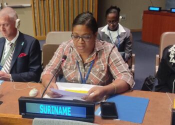 Elizabeth Bradley De opening werd gedaan door de President van de ECOSOC, Lachezara Stoeva, Permanent Vertegenwoordiger van Bulgarije bij de Verenigde Naties (VN). Tijdens dit HLPF 2023 zijn enkele Sustainable Development Goals (SDG)-doelen beoordeeld, te weten, doel 6 schoon water en sanitatie, doel 7 duurzame energie, doel 9 industrie, innovatie en infrastructuur, doel 11 duurzame steden en gemeenschappen en doel 17 partnerschappen.