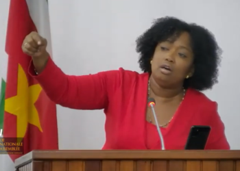 Etnel1 Patricia Etnel heeft maandag in het parlement de regering bedreigd tijdens de behandeling van de casinowetten. "Als deze wet zo wordt aangenomen, dan breekt de hel los. Ik ga tamtam maken en niet een beetje tamtam."