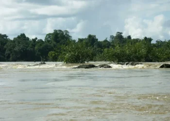 Hermina 1 Een 20-jarige man is afgelopen vrijdag omgekomen toen de boot, waarin hij zat, kapseisde in de onstuimige Herminavallen in de Marowijnerivier. De boot kwam uit Albina, Suriname, en was onderweg naar Apatou, een Frans stadje langs de rivier.
