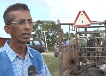 Inder Jaglal Foto SRS 2 “Het kortgeding lijkt op een langgeding”, zegt voorzitter Inder Jaglal van de Veehouders Vereniging Nickerie, die een kortgeding heeft aangespannen tegen Radjie Rijst Industries voor het beschadigen van het weiland van Stalweide Blok 3.